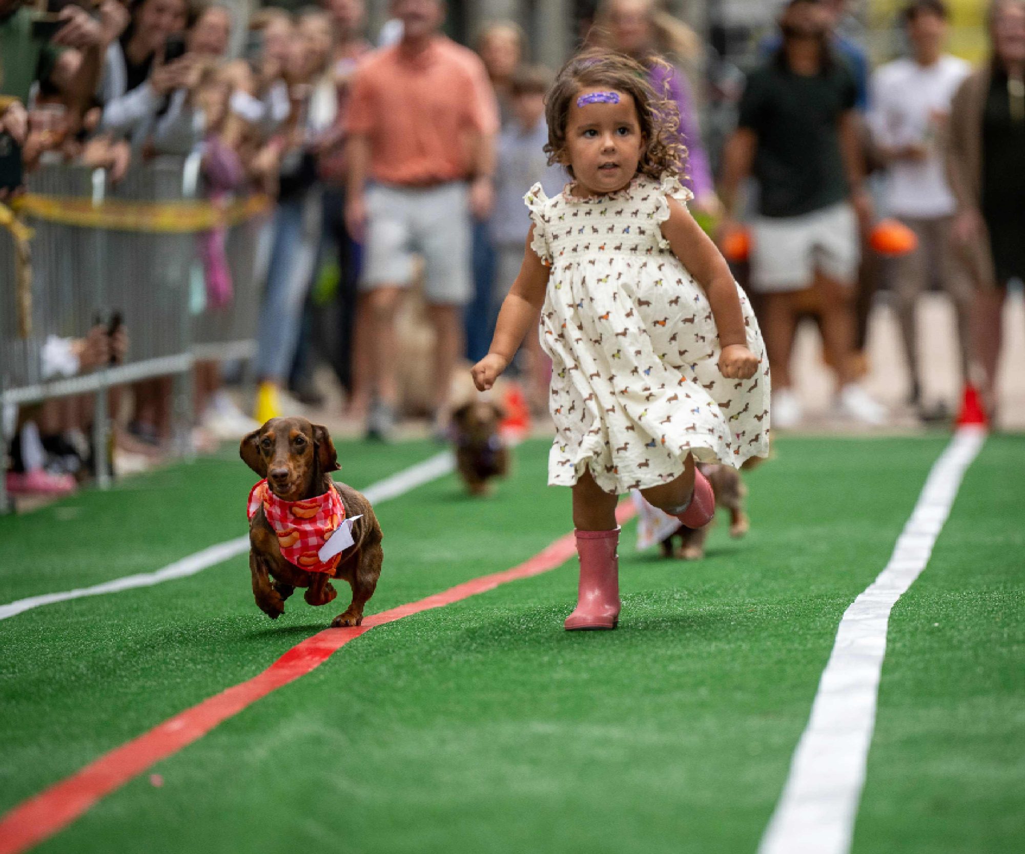 Girl running alongside a dachshund at a Base Village dog race, The Collective Snowmass