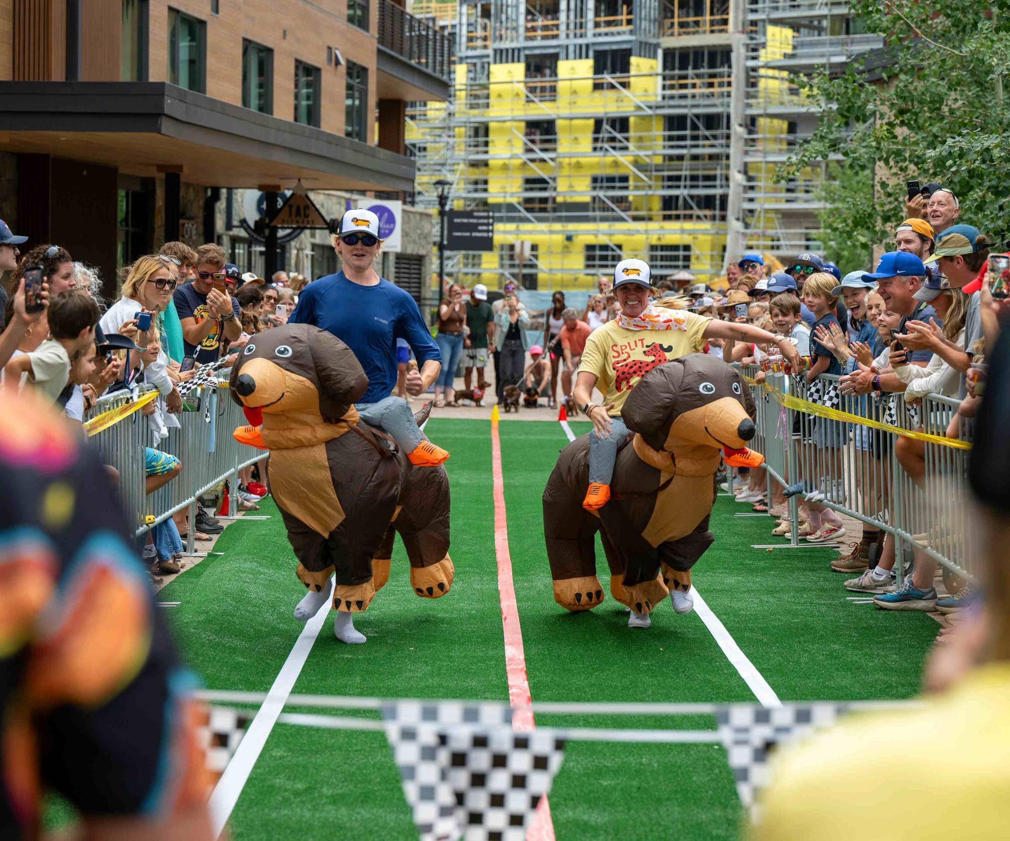 Dachshunds in costumes racing down the turf, The Collective Snowmass
